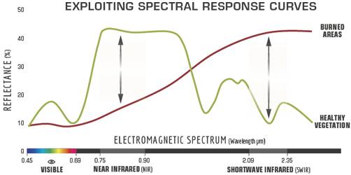 NBR Example
