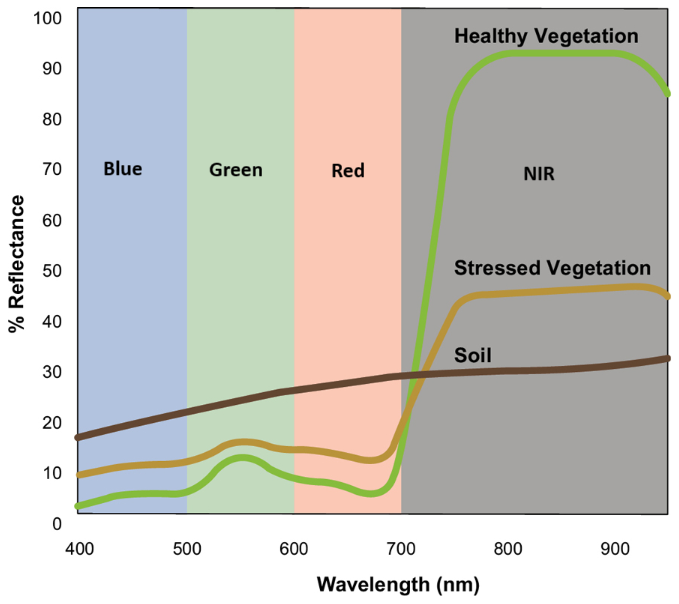 NDVI Example